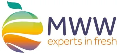 Minor_Weir_Willis